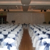 Wow Weddings Chair Covers 2 image